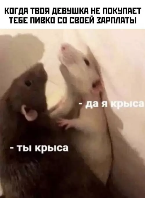 Смешная картинка №715798