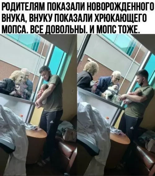 Смешная картинка №616635 Семейная идиллия ?