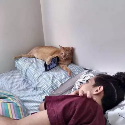 Смешная картинка №677085 Полезный кот  Коты