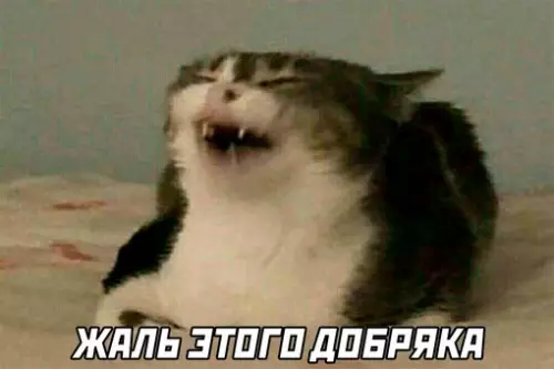 продолжение Смешная картинка №655854 знакомства
