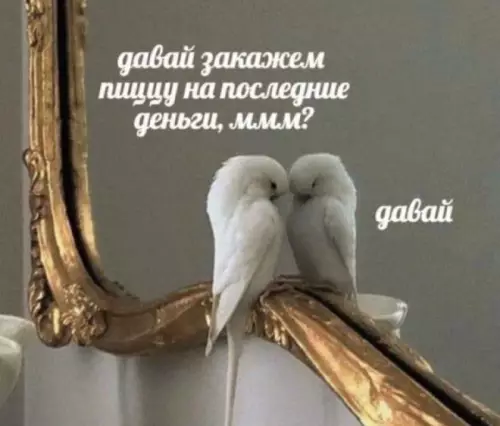 Смешная картинка №671405