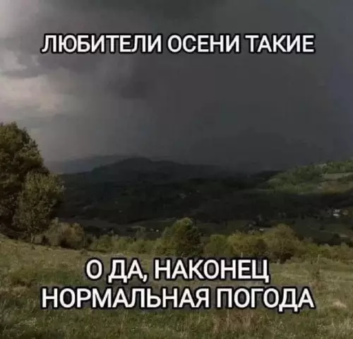 Смешная картинка №823834 Осень