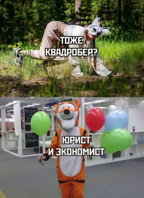 Квадроберы или серьезные люди? 😂 - ТОЖЕ КВАДРОБЕР? ЮРИСТ И ЭКОНОМИСТ