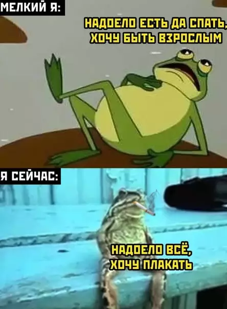 Смешная картинка №574968