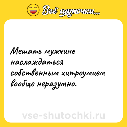 Шутка: Мешать мужчине наслаждаться собственным хитроумием вообще неразумно.