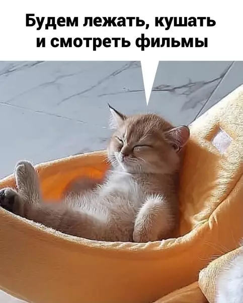 продолжение Смешная картинка №612146 Bнимaниe! Ищy такую компанию