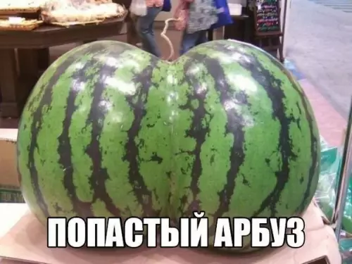 Смешная картинка №199838