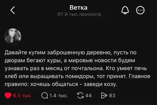 Уйти в глушь и не париться 🐐✨ - Давайте купим заброшенную деревню, пусть по дворам бегают куры, а