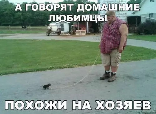 Смешная картинка №204897
