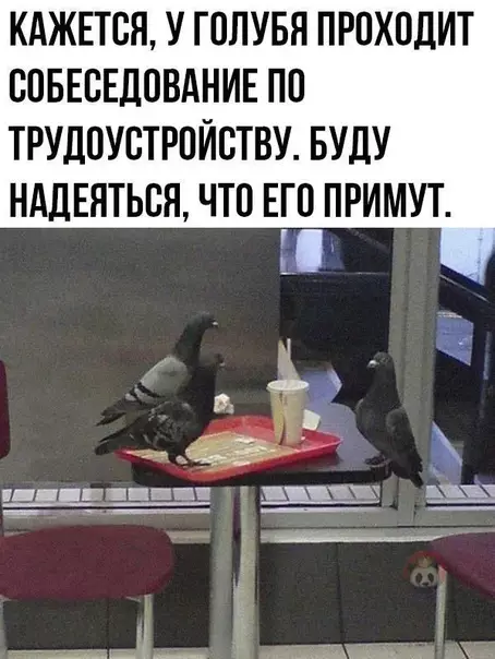 Смешная картинка №505288 Держим кулачки ?