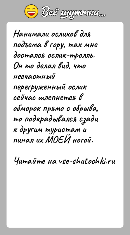 История: Нанимали осликов для подъема в гору, так мне достался ослик-тролль. Он то делал вид, что несчастный перегруженный ослик сейчас шлепнется