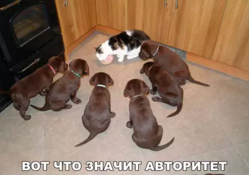 Смешная картинка №203694