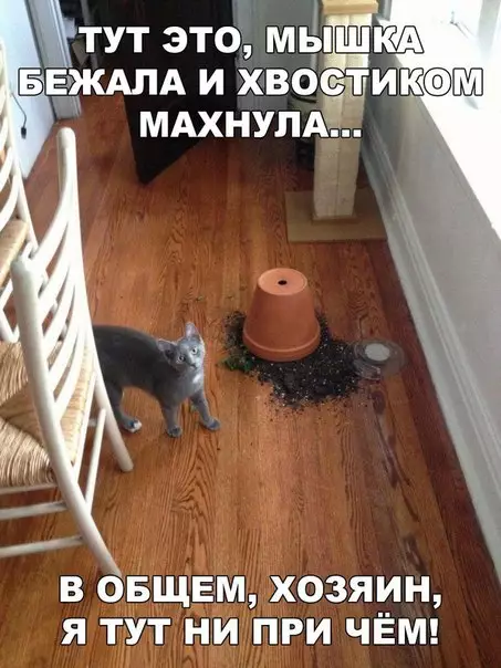 Смешная картинка №244640