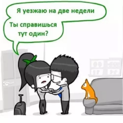 Смешная картинка №562062 Cпpaвляeтcя