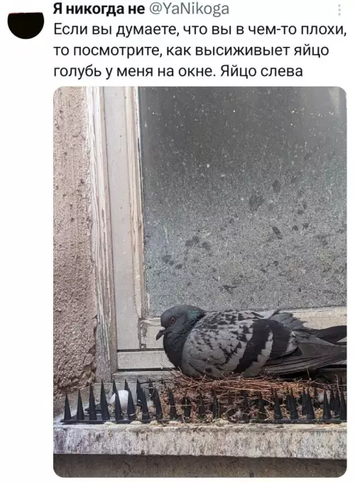 Смешная картинка №774676