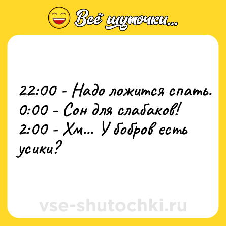 Шутка: 22:00 - Надо ложится спать. <br>0:00 - Сон для слабаков!<br>2:00 - Хм... У бобров есть усики?