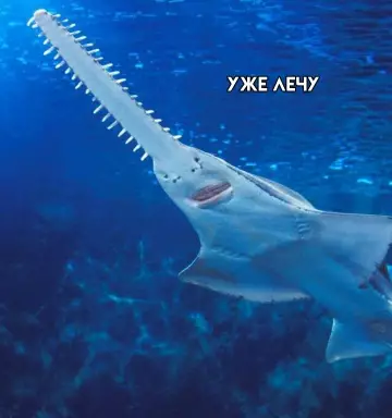 продолжение Смешная картинка №779540