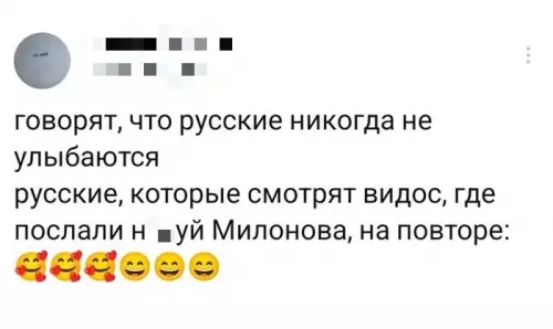 Милонов и эффект улыбки 😂 - говорят, что русские никогда не улыбаются русские, которые смотрят видос,