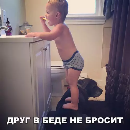 Смешная картинка №173956