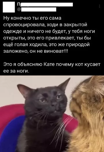 Смешная картинка №767597