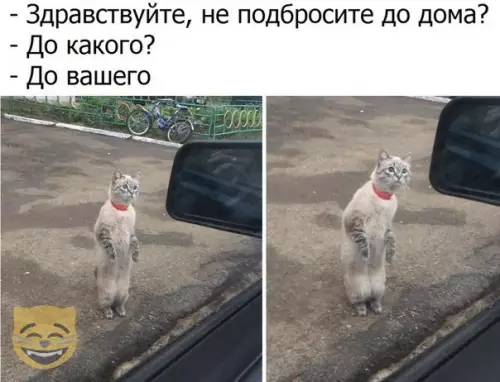 Смешная картинка №336352 #приколы #картинки #мемы ?