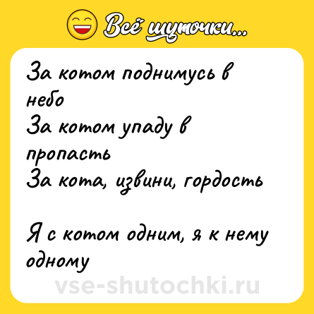 Шутка: За котом поднимусь в небо<br>За котом упаду в пропасть<br>За кота, извини, гордость <br>Я с котом одним, я к нему одному