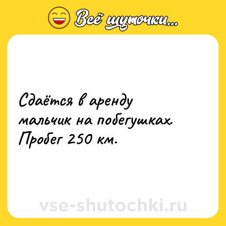 Шутка: Сдаётся в аренду мальчик на побегушках. Пробег 250 км.