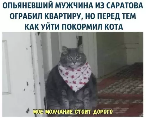 Смешная картинка №324072 Ну, хоть кота покормил
