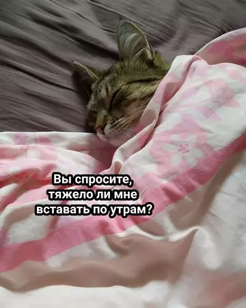 Смешная картинка №748917