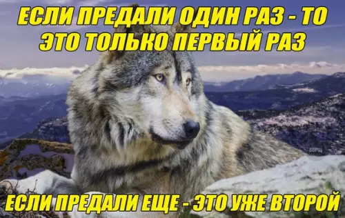 Смешная картинка №236241