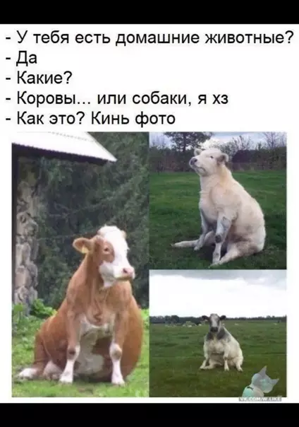 Смешная картинка №358977