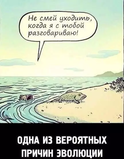 Смешная картинка №226051