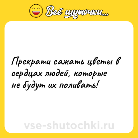 Шутка: Прекрати сажать цветы в сердцах людей, которые не будут их поливать!