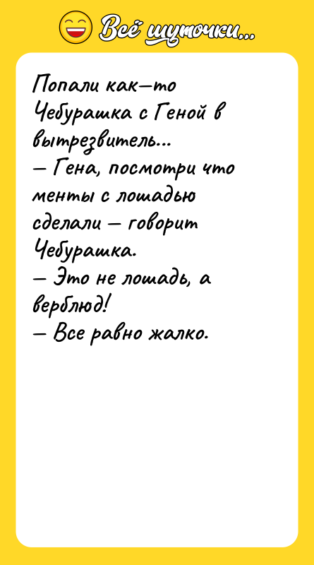 Попали как—то Чебурашка с Геной в вытрезвитель... — Гена, посмотри