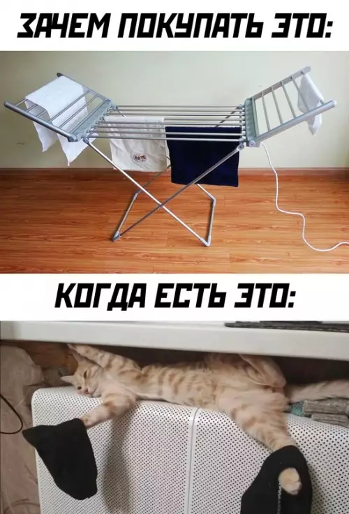 Смешная картинка №666473