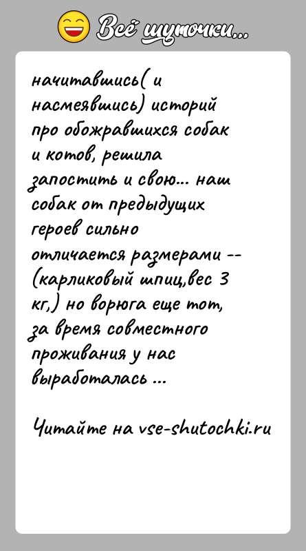 История: начитавшись( и насмеявшись) историй про обожравшихся собак и котов, решила запостить и свою... наш собак от предыдущих героев сильно отличается