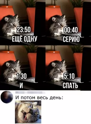 Смешная картинка №690748