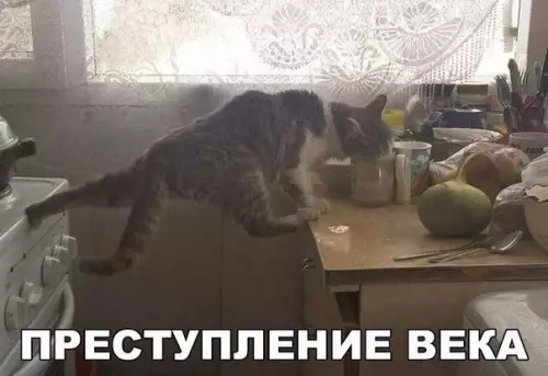 Смешная картинка №303502