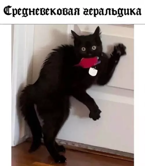 Смешная картинка №706851