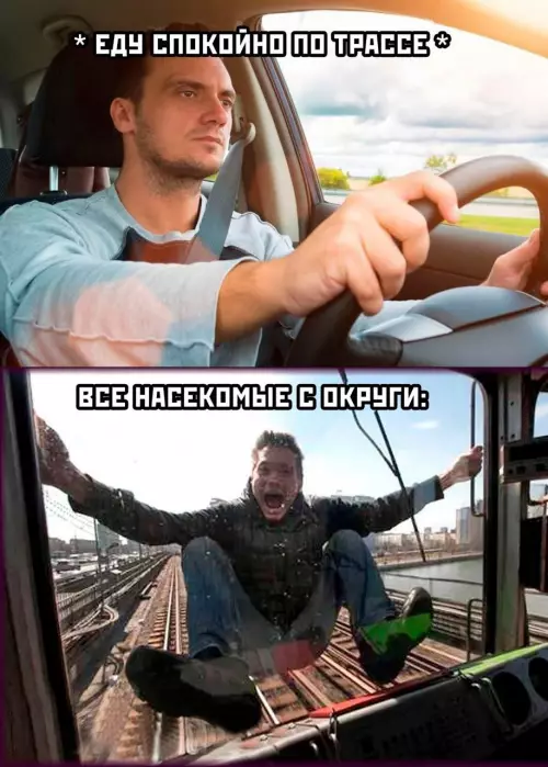 Смешная картинка №775223