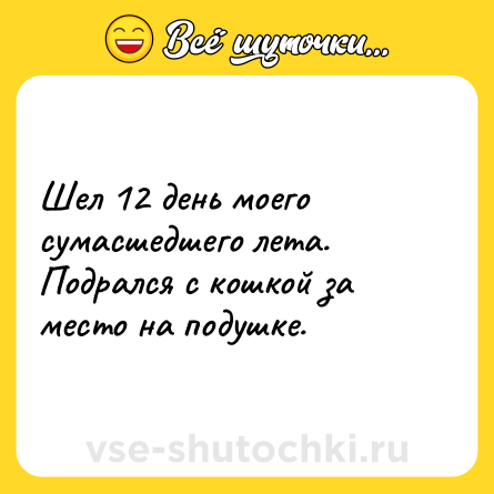 Шутка: Шел 12 день моего сумасшедшего лета. Подрался с кошкой за место на подушке.