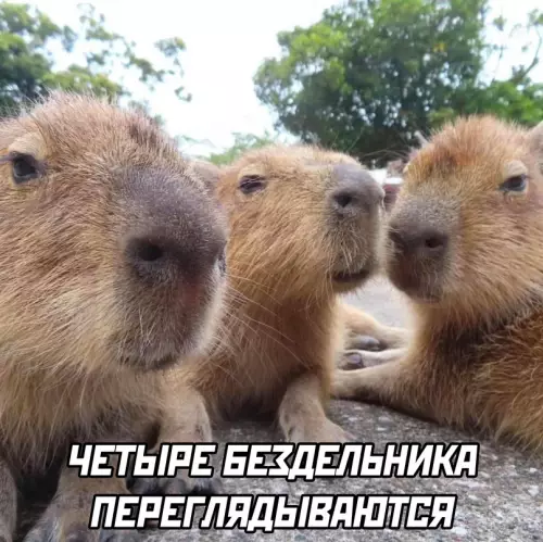 Смешная картинка №707220