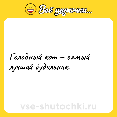 Шутка: Голодный кот — самый лучший будильник.