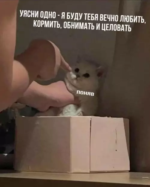 Смешная картинка №822199 То то же Любовь