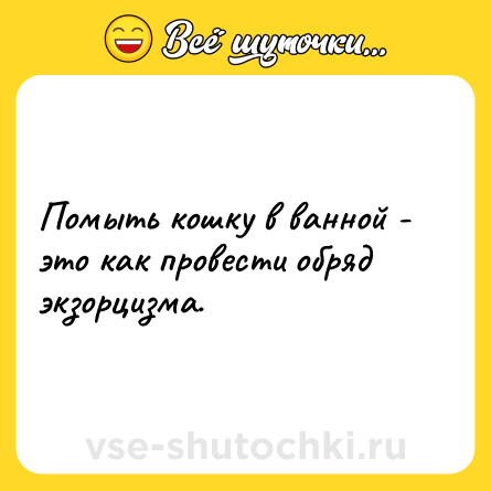 Шутка: Помыть кошку в ванной - это как провести обряд экзорцизма.
