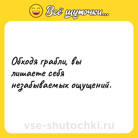 Шутка: Обходя грабли, вы лишаете себя незабываемых ощущений.