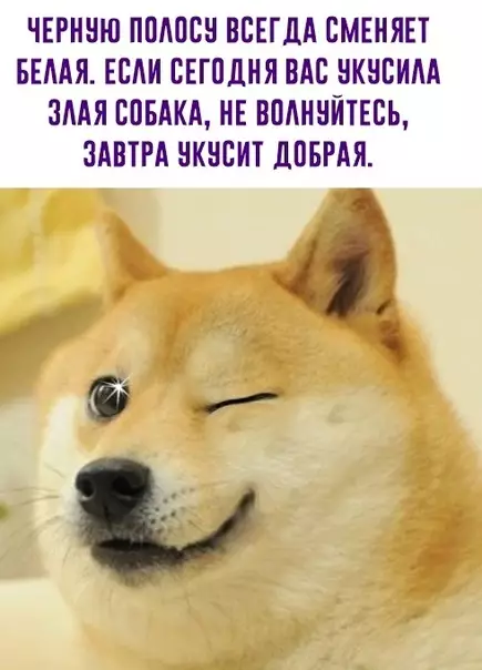 Смешная картинка №579828 А, ну спасибо, сразу легче стало 