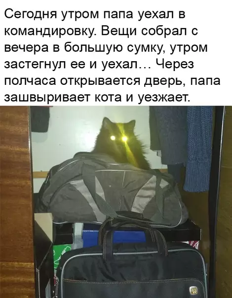 Смешная картинка №468950