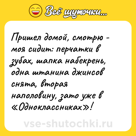 Шутка: Пришел домой, смотрю - моя сидит: перчатки в зубах, шапка набекрень, одна штанина джинсов снята, вторая наполовину, зато уже в «Одноклассниках»!