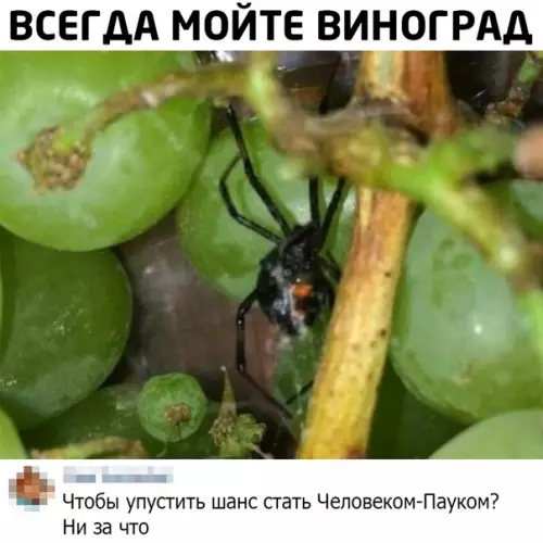 Смешная картинка №475473